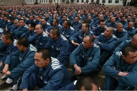 但是你知道被判处无期徒刑的犯人每天在监狱里干些什么吗?事实