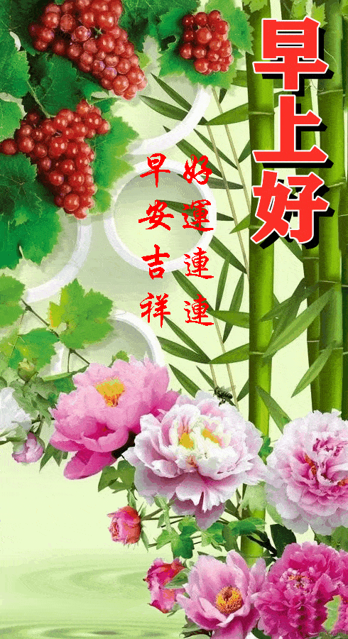 490_900竖版 竖屏gif 动态图 动图