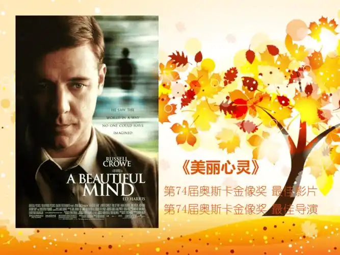 美丽心灵观影笔记ppt