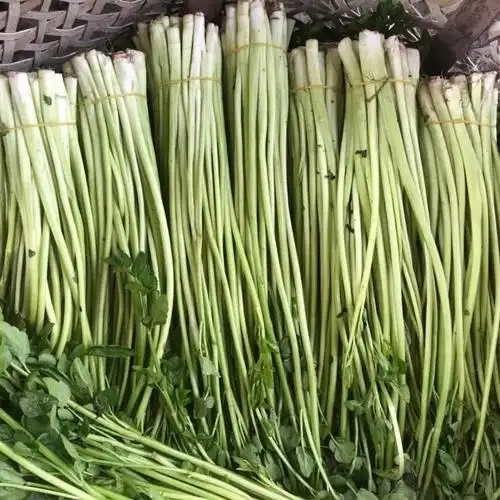 素界 水芹菜蔬菜新鲜芹菜农家自种菜小叶水芹割芹野芹3斤时令蔬菜