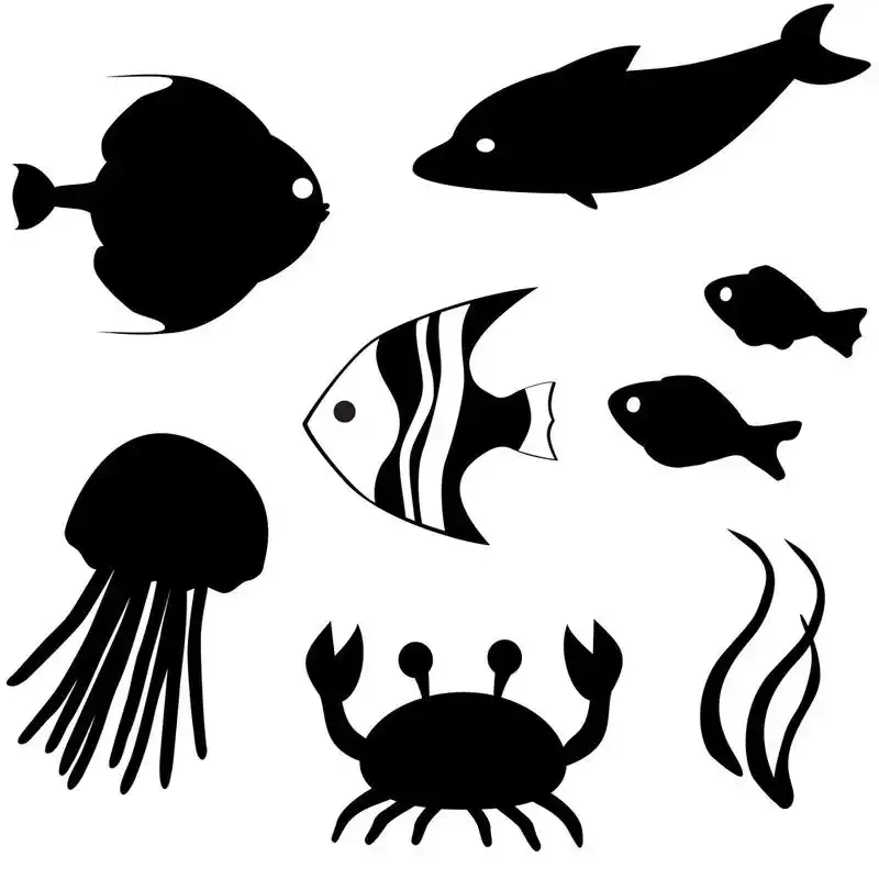 鱼剪影矢量集 3,套的白色上孤立的鱼剪影
