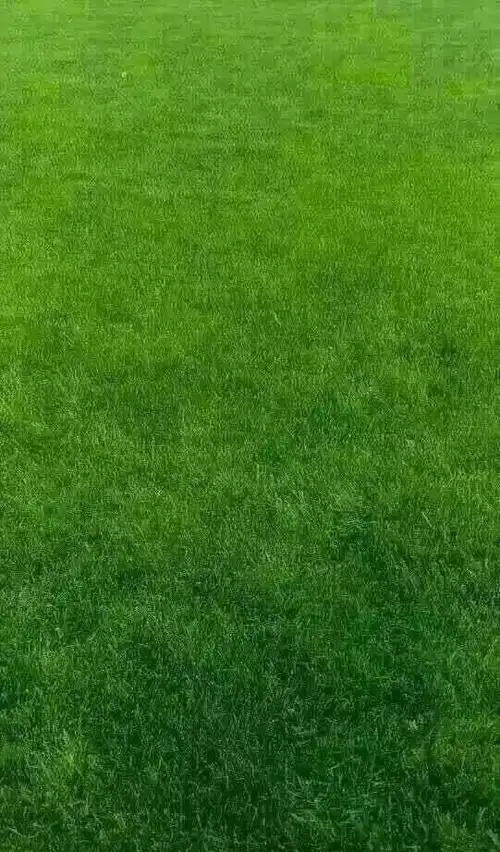 眼科专家推荐看微信保护眼睛的简单方法万人验证有效