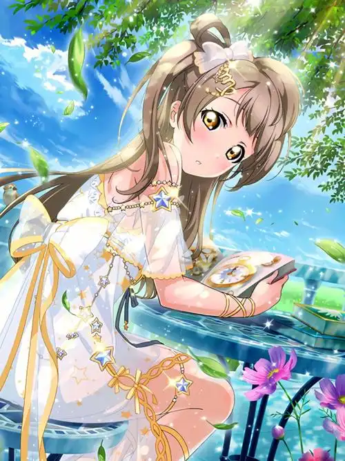 lovelive南小鸟图片