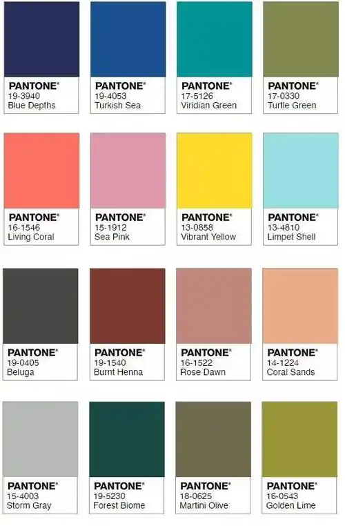 2019年最流行的颜色,够骚,够味,够任性!你喜欢吗?