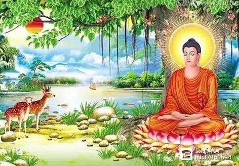 2500年前,乔达摩在菩提树下悟道了!他悟到了什么呢?