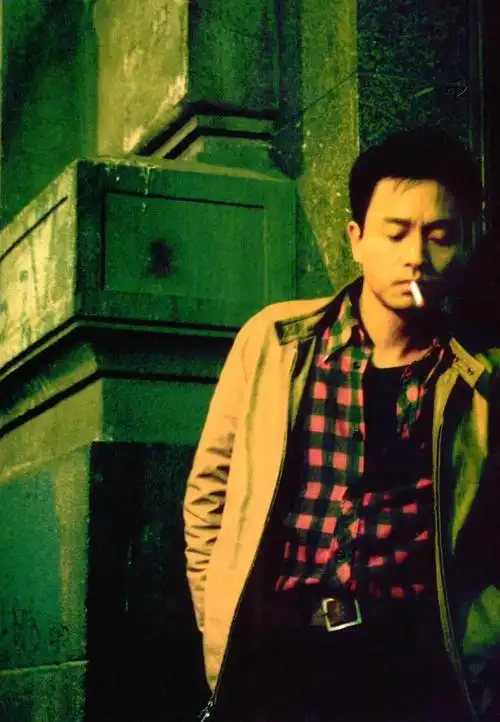 春光乍泄春光乍泄官方剧照剧照图片