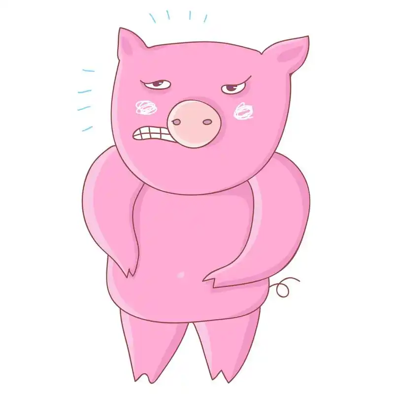 愤怒的猪,愤怒的猪