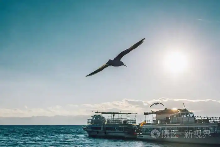 海鸥在蓝天上飞翔,船在空中飞翔