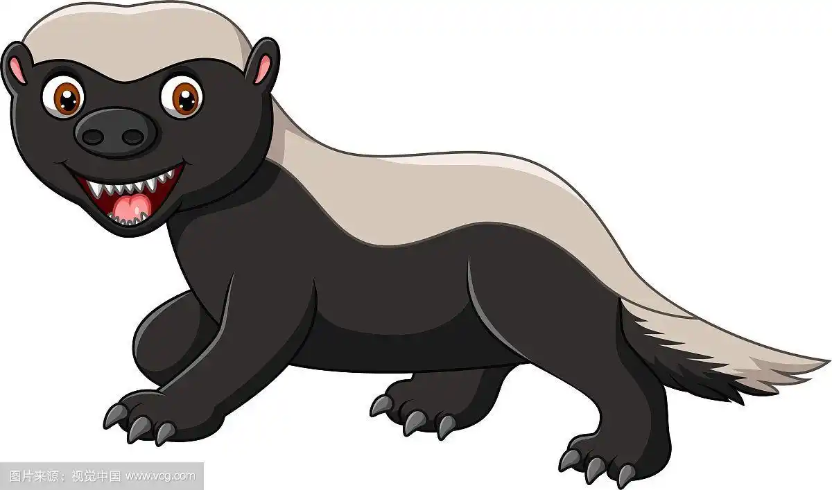 卡通搞笑蜜獾孤立