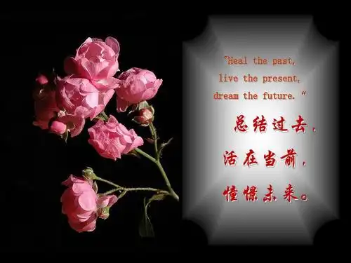 绝美意境和哲理名言(成功者必修)ppt