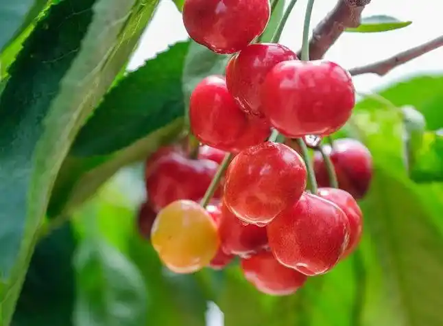 第一眼就吸引人的图片