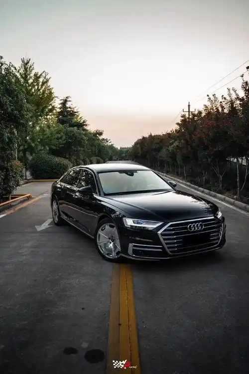 奥迪a8/d5高配oled尾灯 霍希款轮毂 #六横十二纵 圆 - 抖音