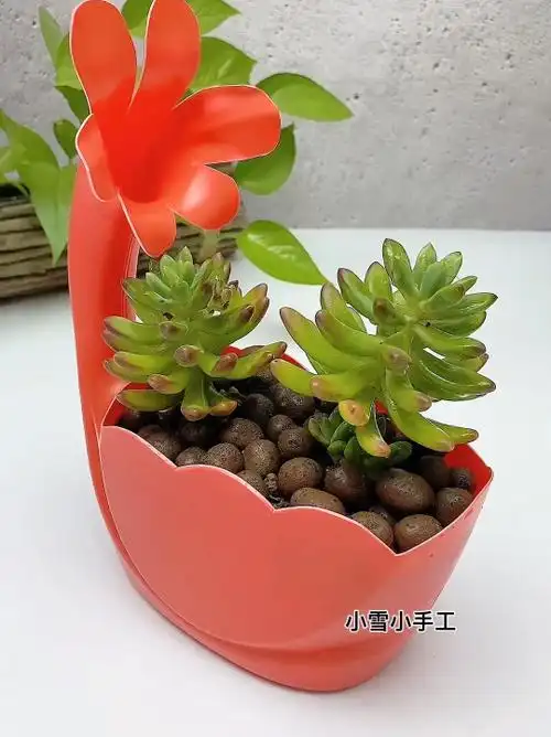 洗衣液瓶子做花盆制作方法图片