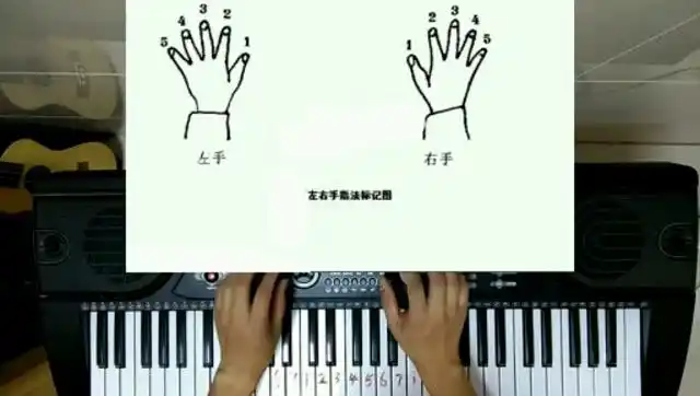 从零开始教会你弹电子琴成人教学第二课