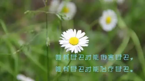 心情不好伤感难过的句子图片