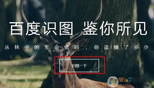 baidu.com操作步骤如下