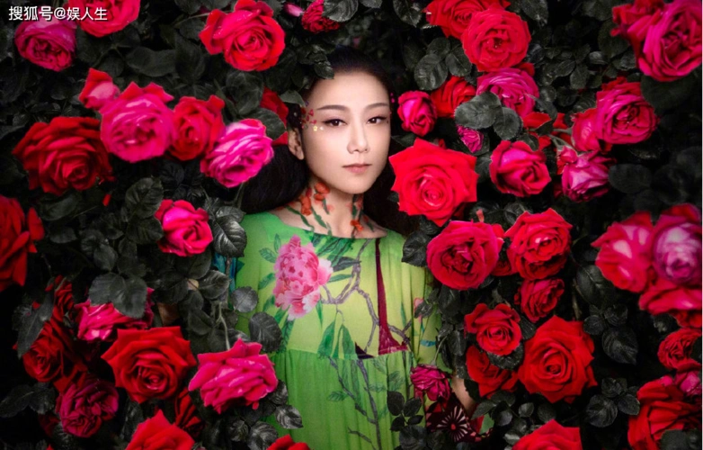 杨丽萍她钻到牛角尖里了