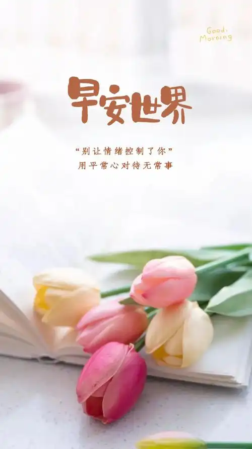 02.19」早安心语,阳光经典正能量语录,雨水节气漂亮图片