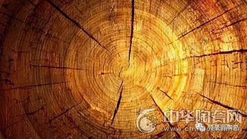 每一圈的年轮,都是对时间最好的见证.