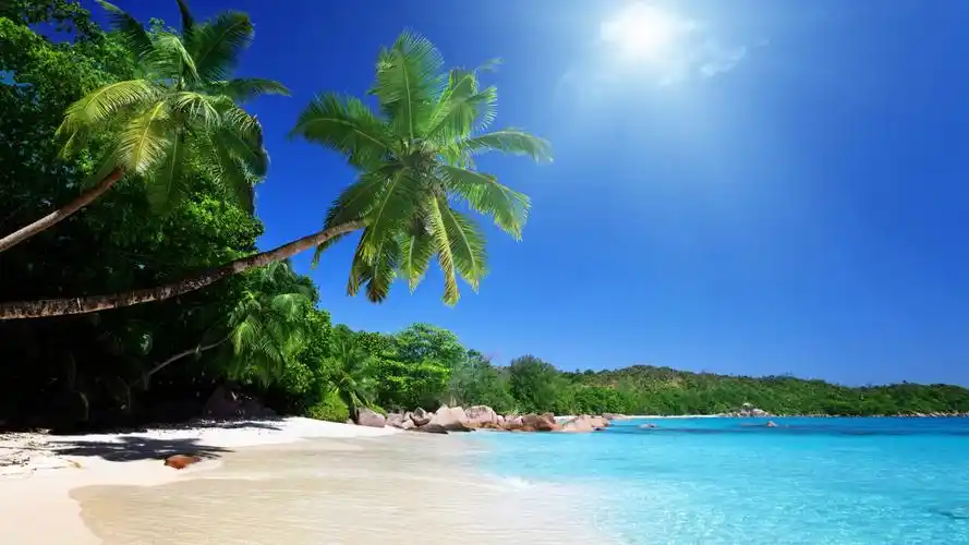 美丽的自然风景,沙滩,树宽屏自然风景壁纸_风景壁纸_墨鱼部落格