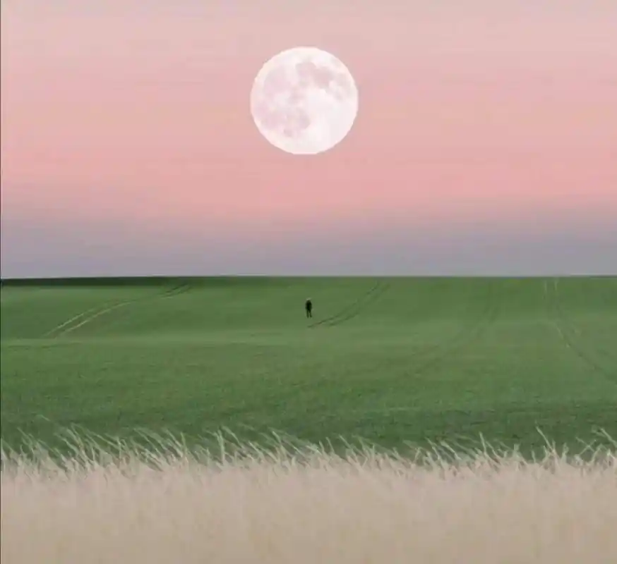 有深意的唯美图片大全,独一无二唯美的图片