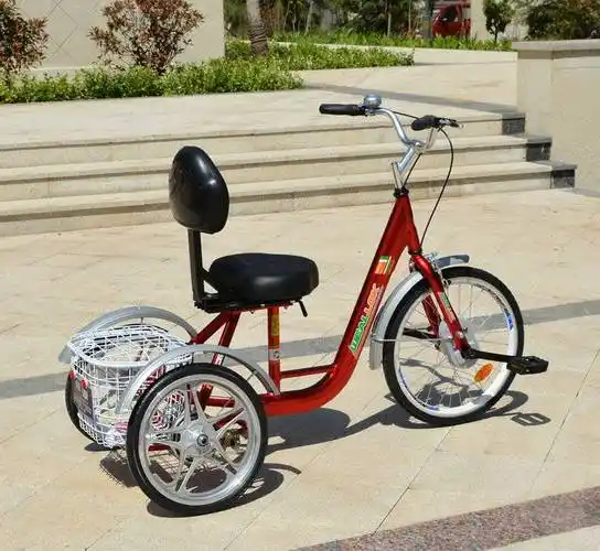 脚踏三轮车老人伟乐三轮老人遛弯车脚蹬三轮车老年人力代步脚踏康体车