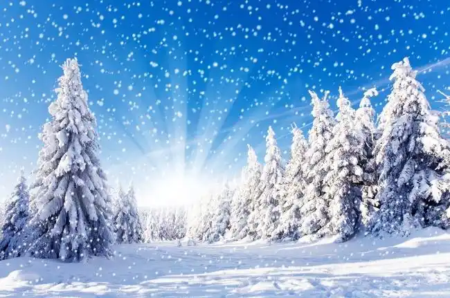 唯美高清雪景图片大全 浪漫冬日雪景图片大全