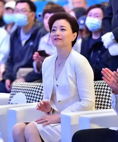 杨澜好久没露面了,穿着大衣却遮不住胸膛,脸上还有痘痘,但皮肤真的很