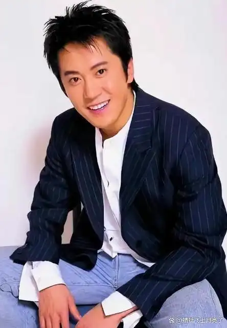 挑战与选择毛宁的传奇社会的反思