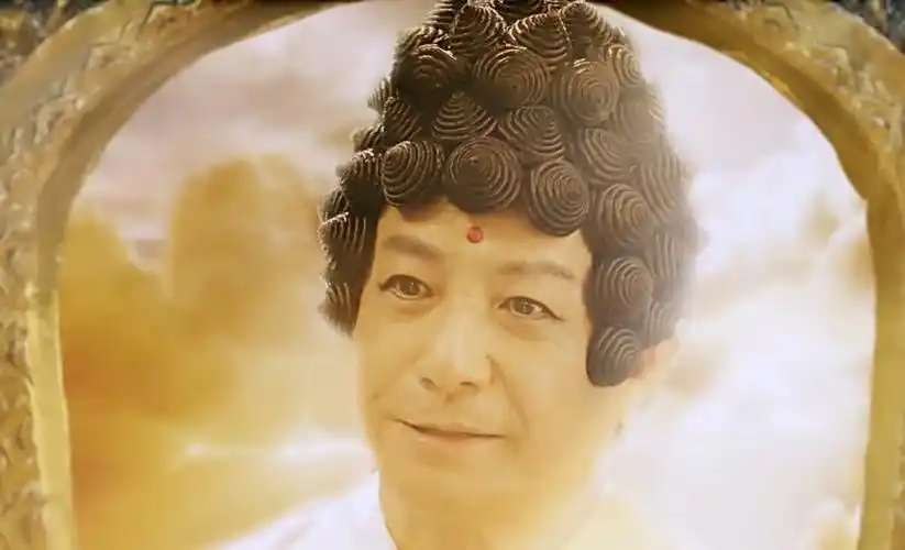 天蓬元帅心有猛虎细嗅蔷薇.