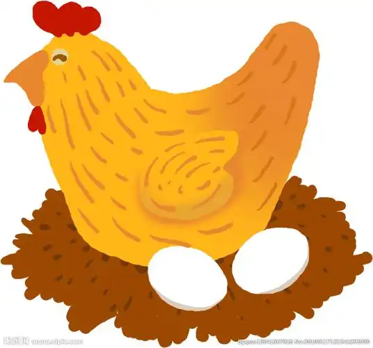 鸡插画素材图片