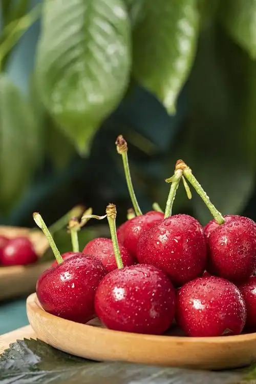 樱桃车厘子美食拍摄