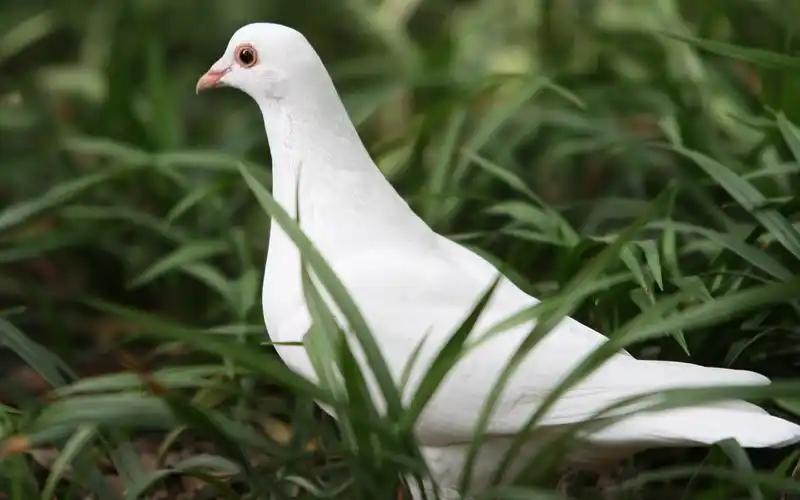 佳能eos 5d 样张壁纸 (评测样张)17 - 2560x1600