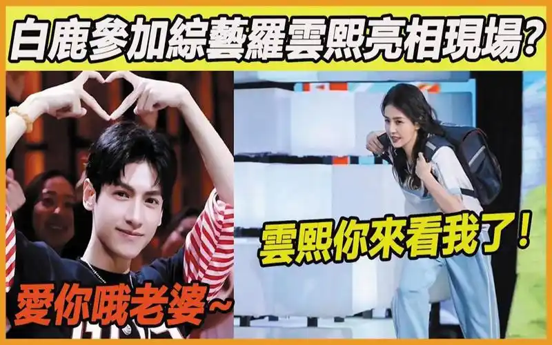 白鹿参加综艺罗云熙亮相现场?