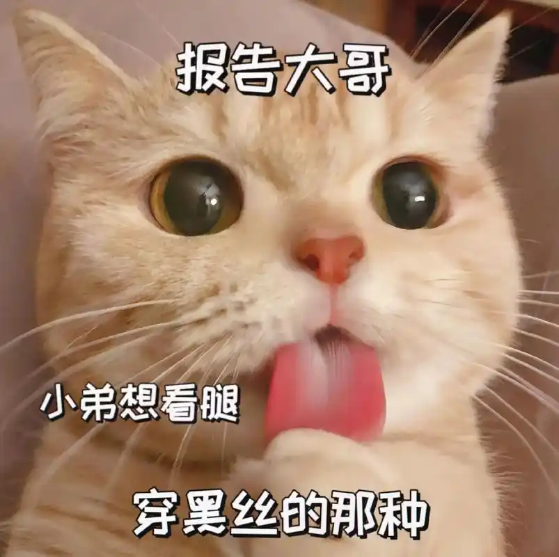 大哥,小弟想看腿,穿黑丝那种#表情包 #用表情包表示你的心情 - 抖音