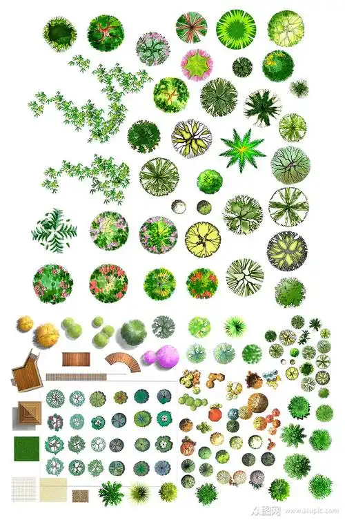 园林平面花草树木素材