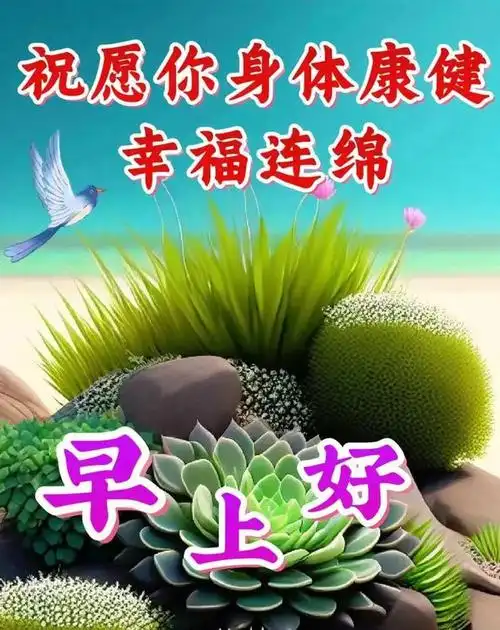 6月26日最新早安漂亮图片祝福|快乐|甜蜜|好运|早上好_网易订阅