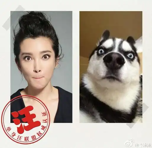 组图:李冰冰晒与狗狗神同步表情包