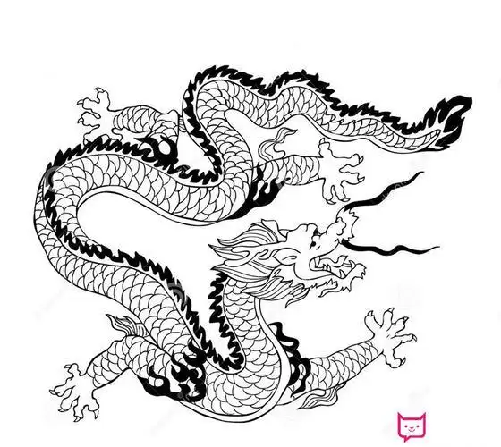 画龙的简笔画视