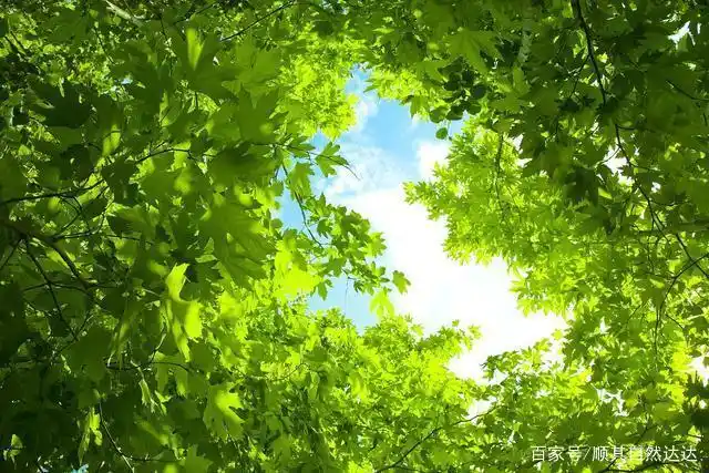 沈城终迎晴好天气,周末最后一天难得好天气,一定要要好好珍惜!