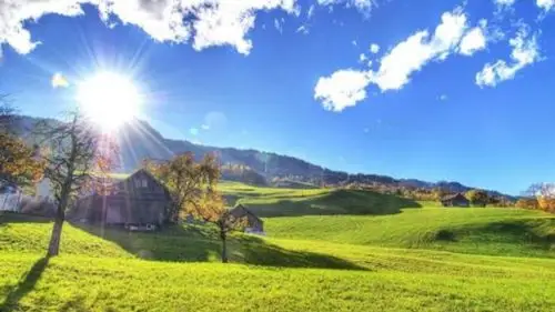 《阳光》 ,2021年1月9日