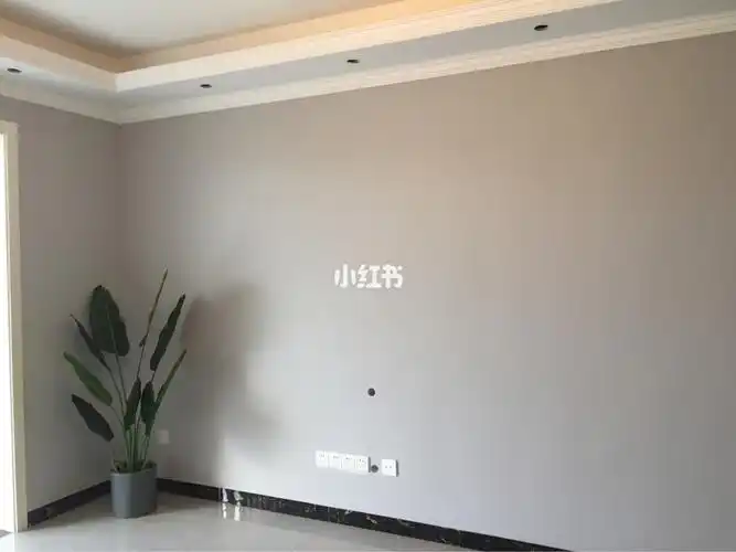 实际深      味道没有多大  是我要的华润漆颜色效果图华润漆1338效果