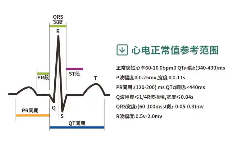 心电图标准值表_39健康网_精编内容