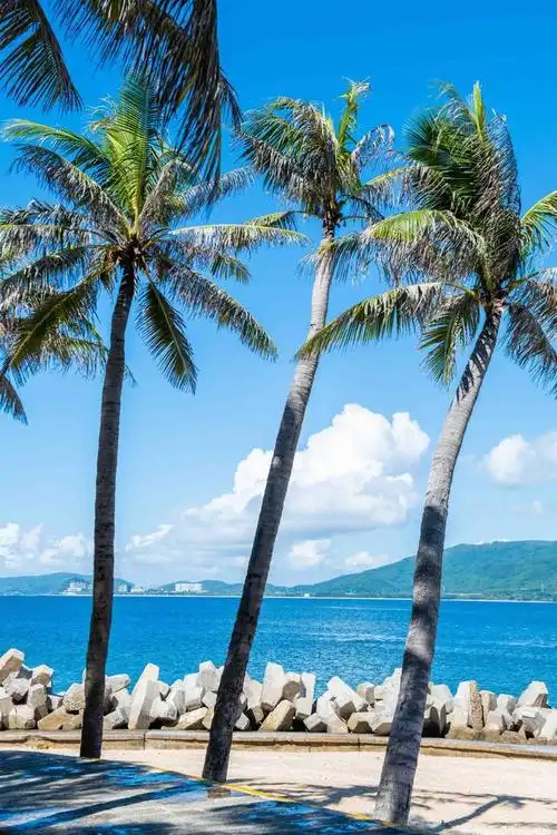 将这世间最美的色彩留给了三亚,这里有我国最清澈洁净的大海,也有最让