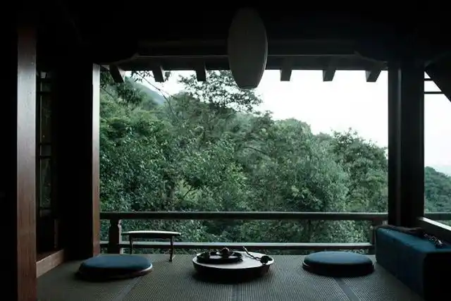 辞职隐居终南山的姑娘因房租太贵回来了:你我皆凡人,何苦去修仙