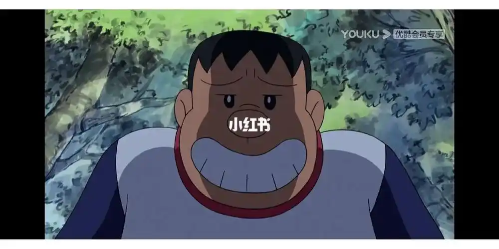 今天看动画片的时候截取的,感觉好有意思,我用胖虎,他用大雄,哈哈哈