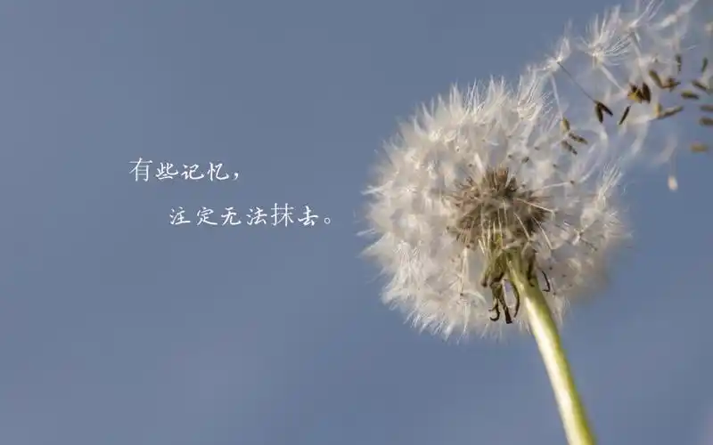 让人心碎伤心的说说图片