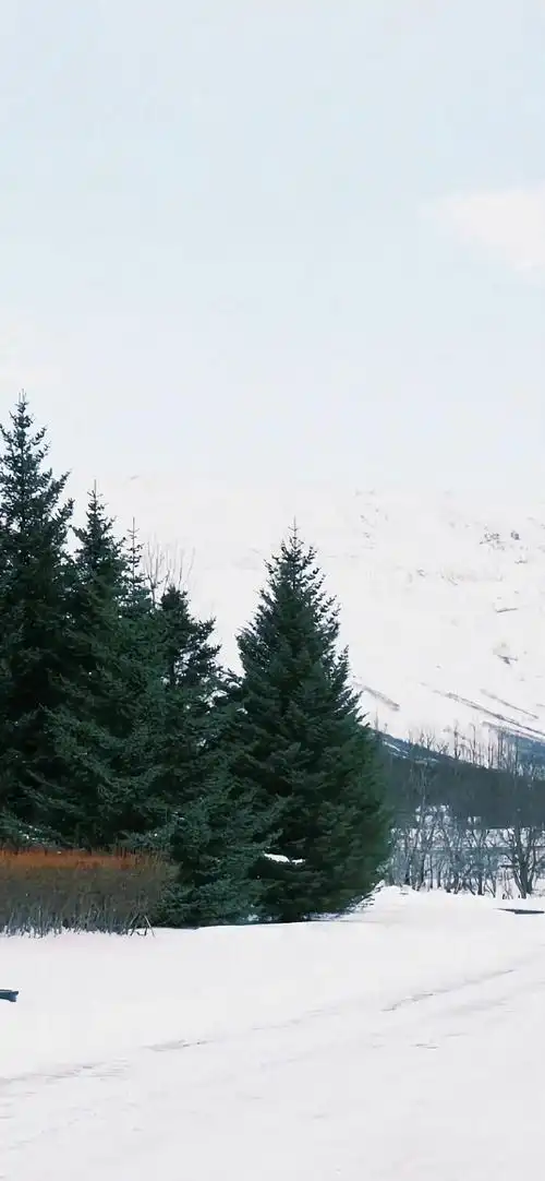 无水印壁纸##手机壁纸