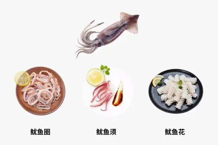 鱿鱼章鱼墨鱼傻傻分不清楚看完这篇全明白了
