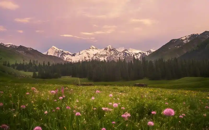 下的自然风景图片桌面壁纸,风景壁纸,养眼,唯美,风景,自然,唯美意境